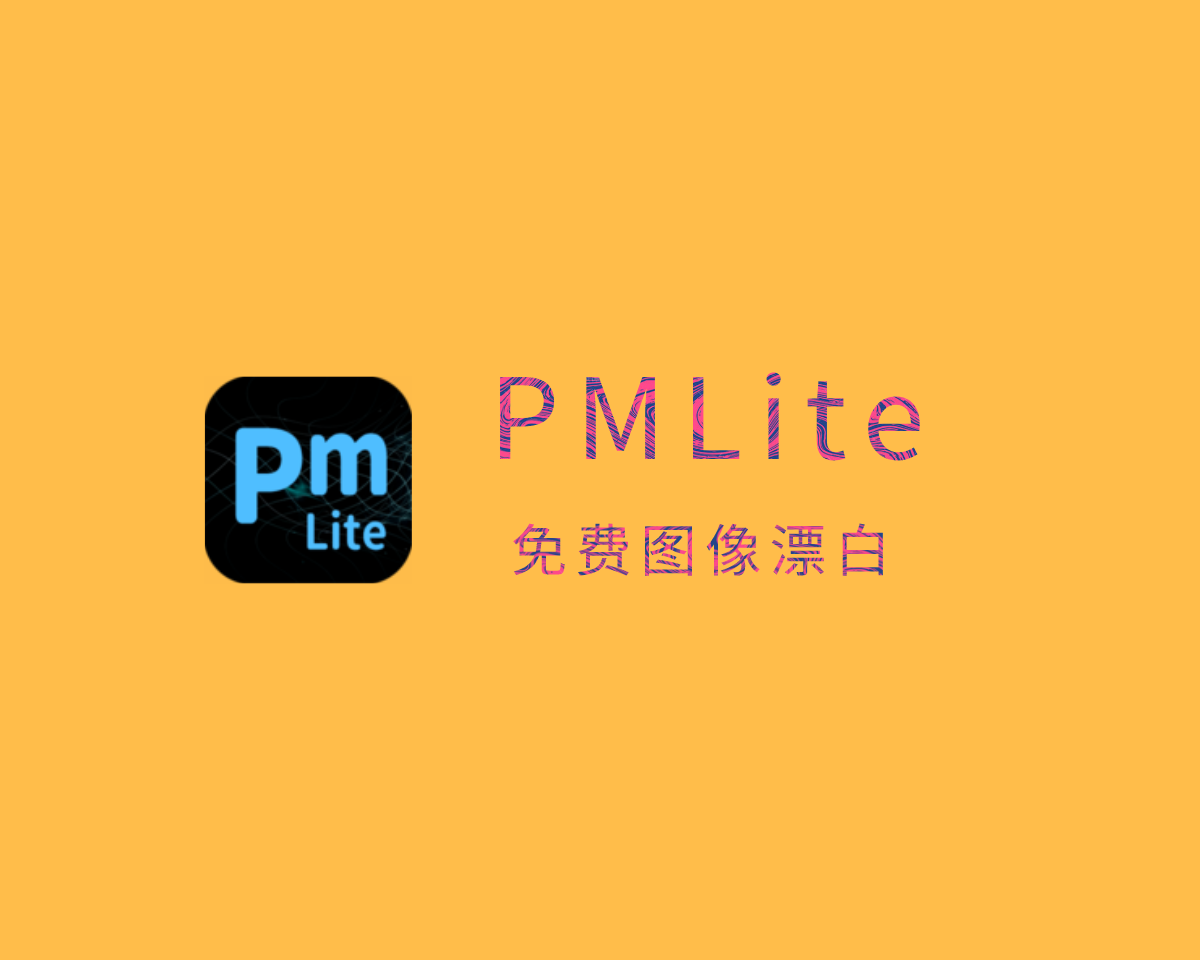 图像校正漂白工具 PMLite v1.1.2.2 单文件免装版