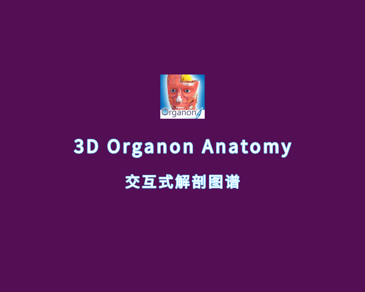 交互式解剖图谱 3D Organon Anatomy v3.0.0 绿色便捷版