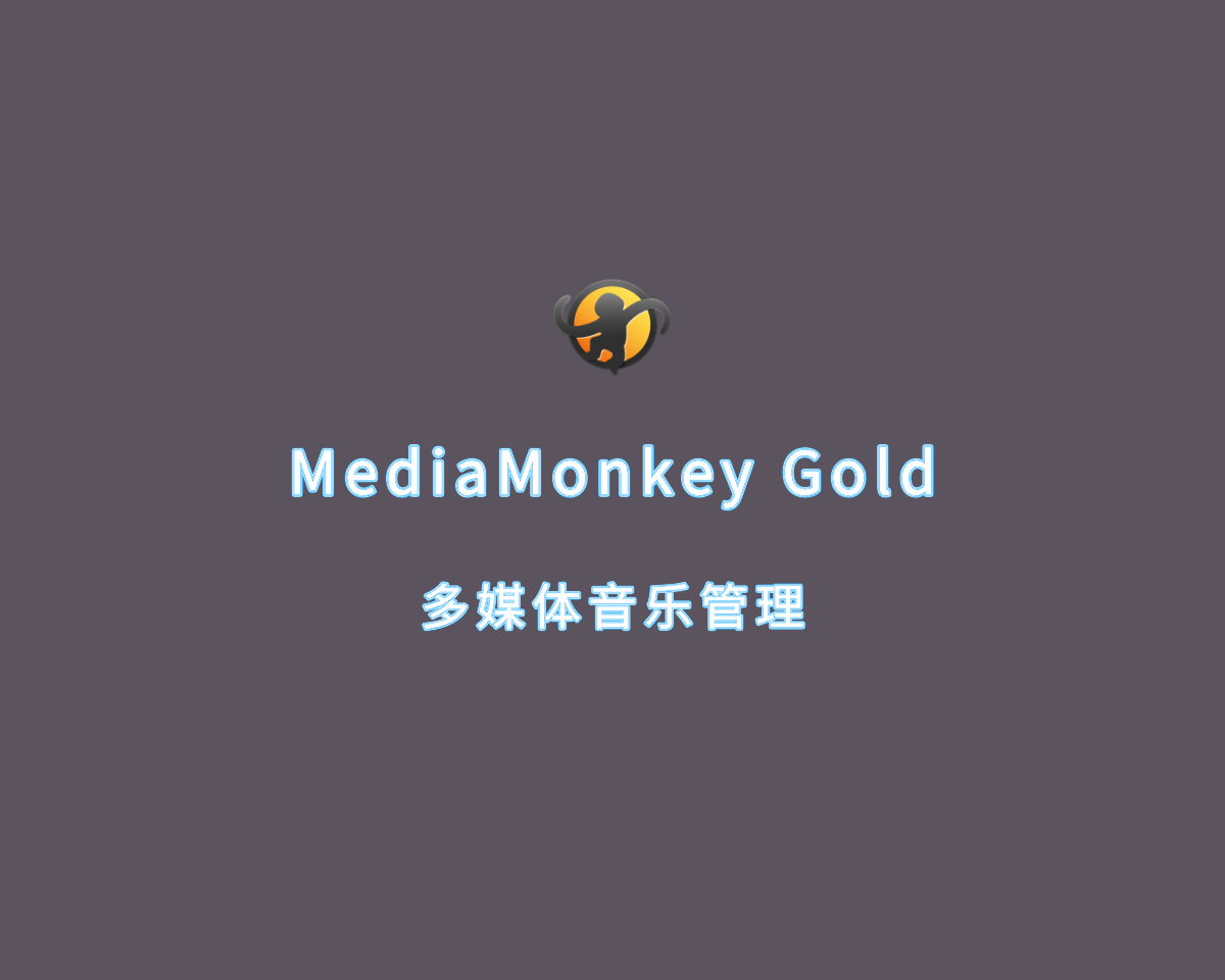 多媒体音乐管理 MediaMonkey Gold v2024.0.0.3031 注册版