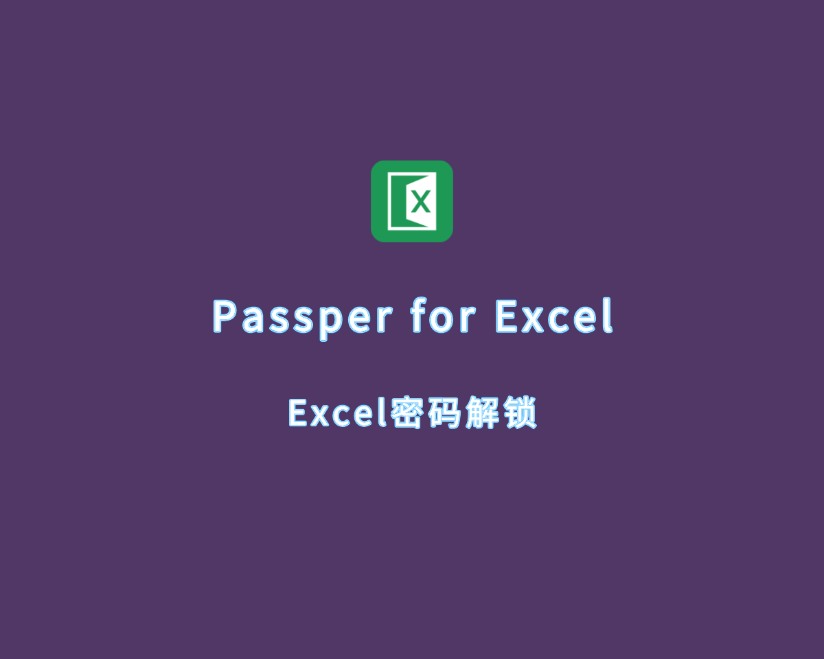 Passper for Excel（Excel密码解锁）v4.0.0.4 破解版