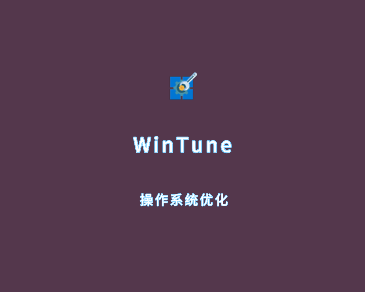 WinTune（操作系统优化）v2.5.3 单文件绿色版