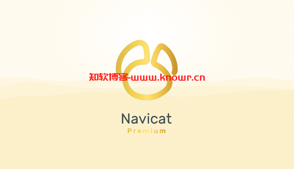 Navicat Premium.png