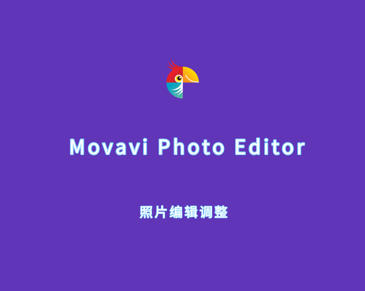 照片编辑调整 Movavi Photo Editor 2024 v6.7.1 中文破解版