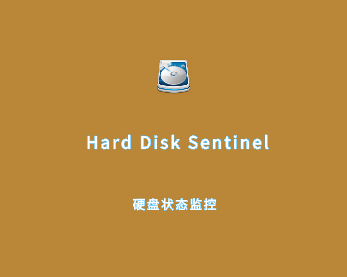 Hard Disk Sentinel（硬盘状态检测）v6.20.3 绿色专业版