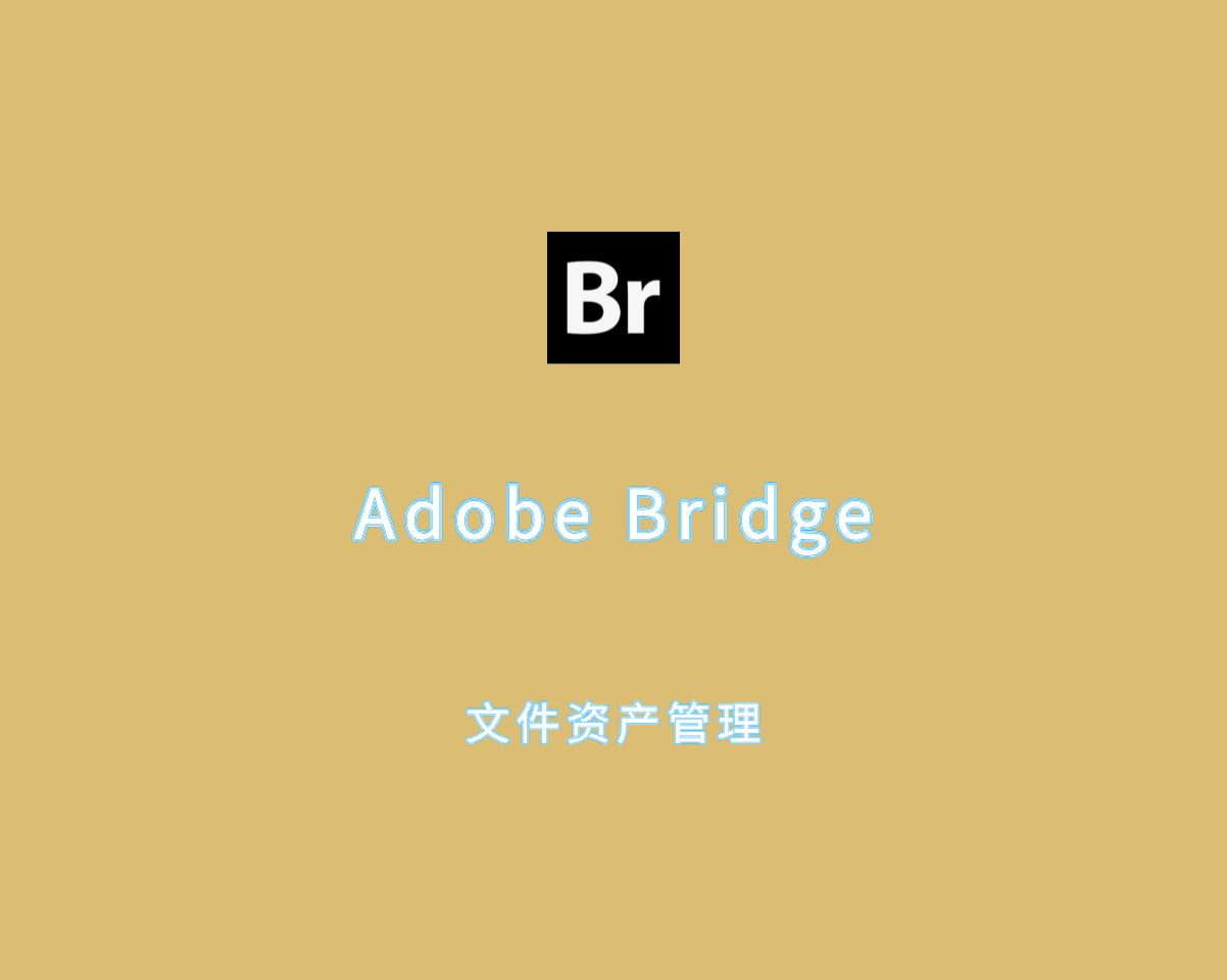 Adobe Bridge 2025（文件资产管理）v15.0.0 绿色版