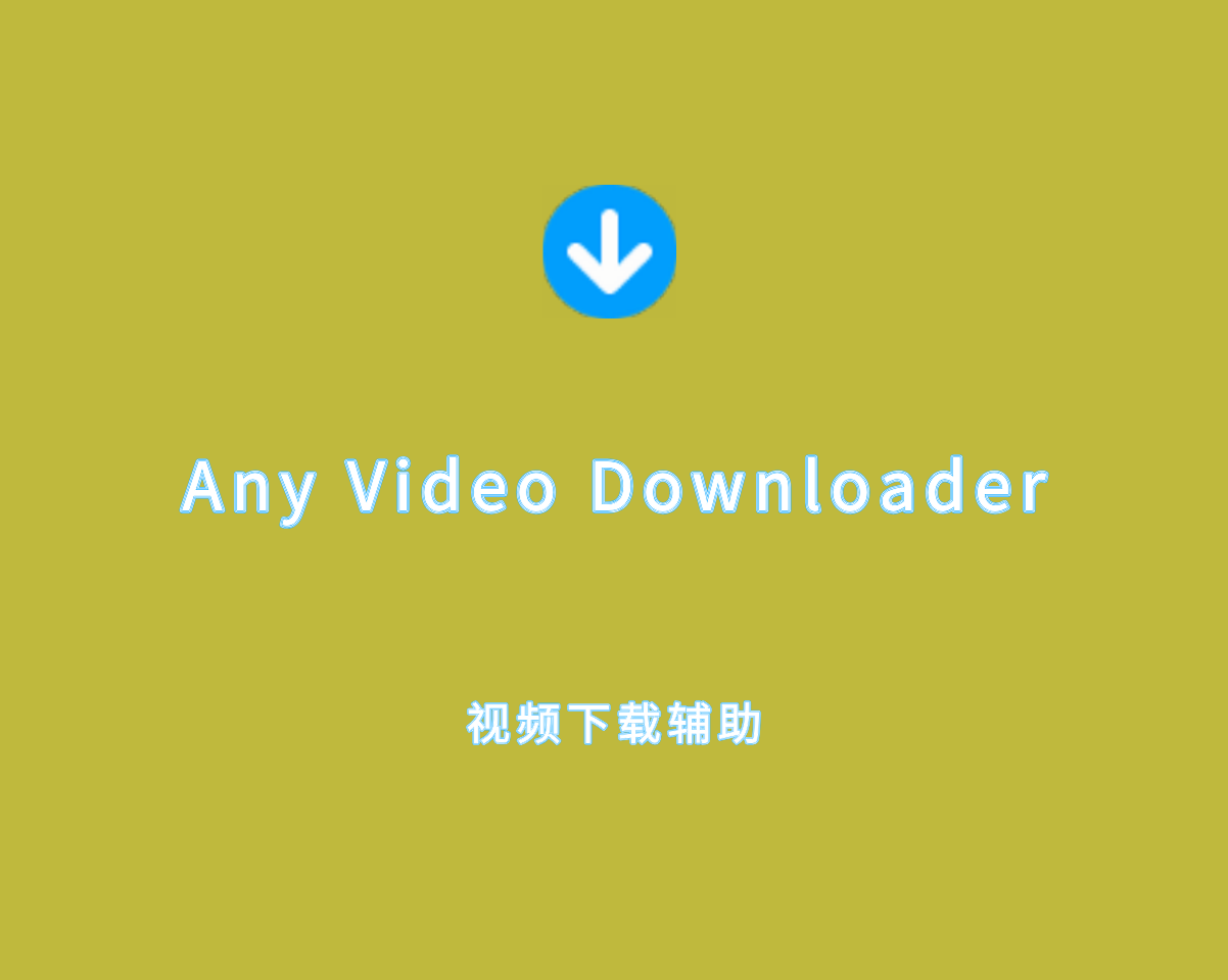 视频下载辅助 Any Video Downloader v9.1.0 多语言免装版