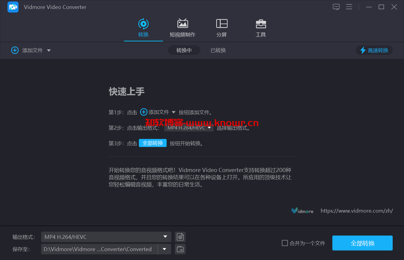 Vidmore Video Converter 绿色版.png