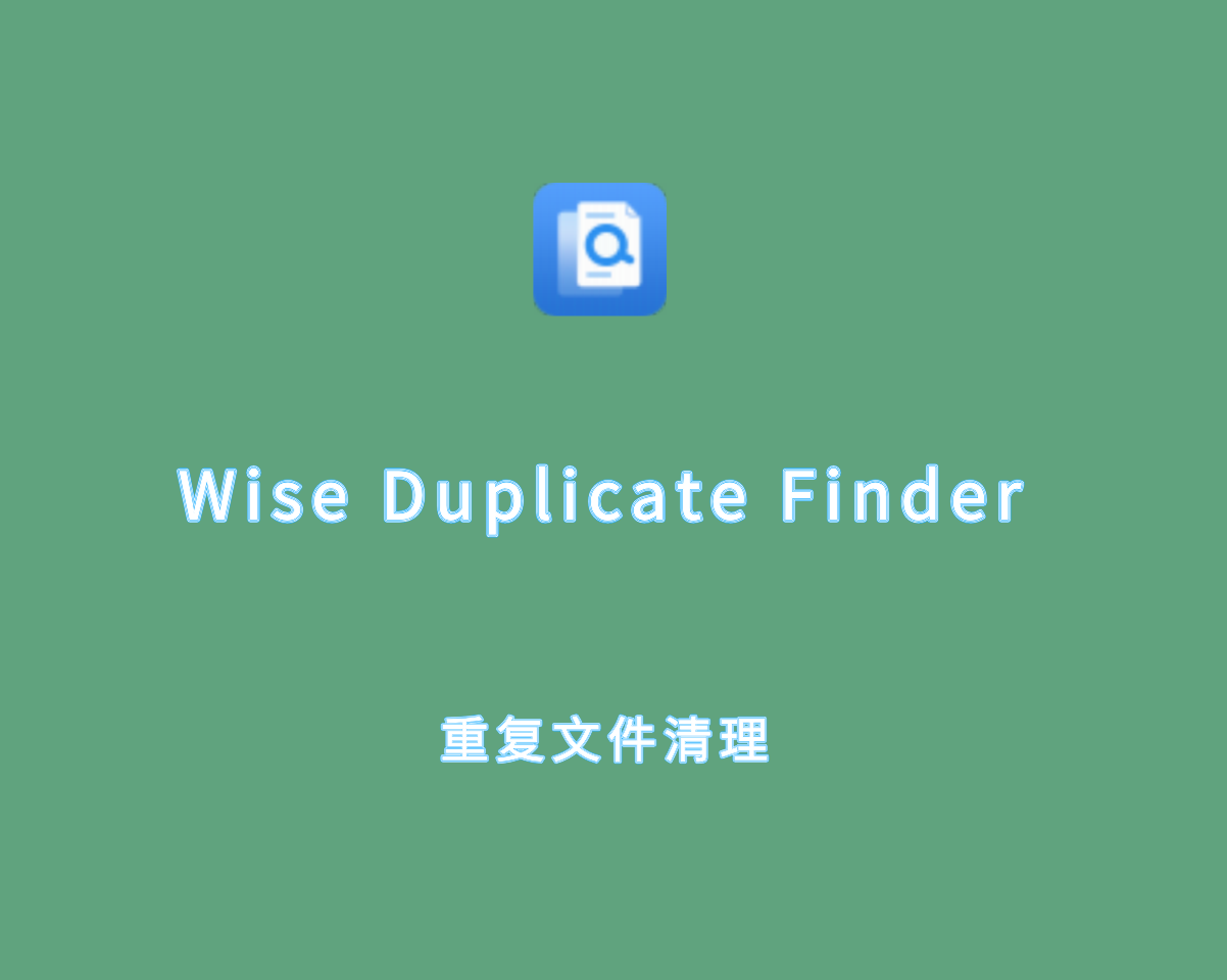 重复文件清理 Wise Duplicate Finder v2.1.5.65 多语言破解版